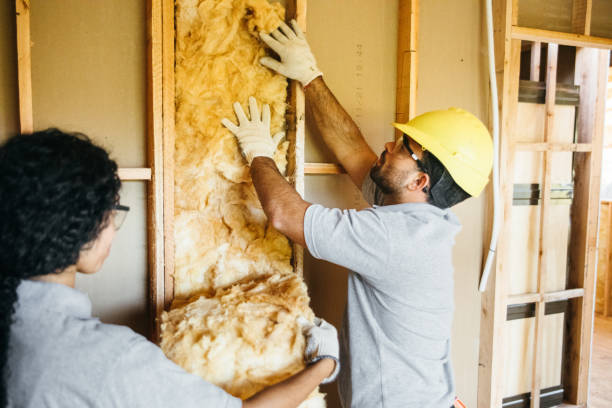 Best Insulation for New Construction  in Middletown, CA